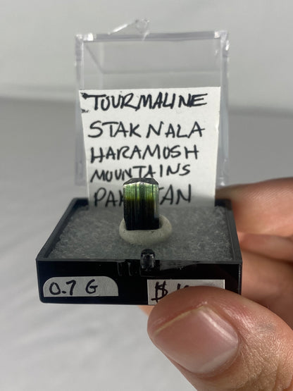 Pakistani Green Tourmaline Thumbnail Specimen (Pre-Done I)
