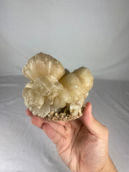 Indian Zeolite Specimen (Large F)
