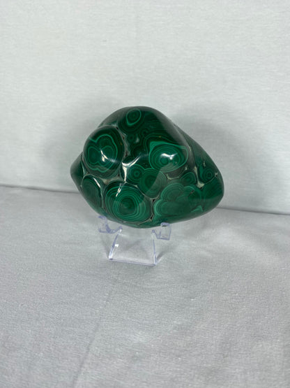 African Polished Malachite Specimen (C)