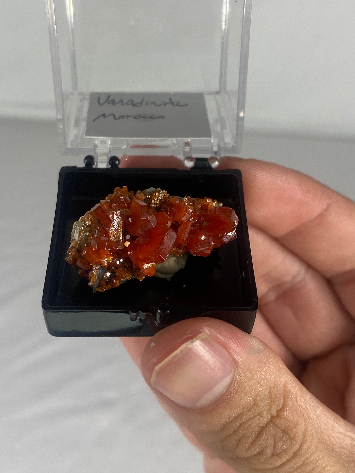 Moroccan Vanadinite Thumbnail Specimen (Small E)