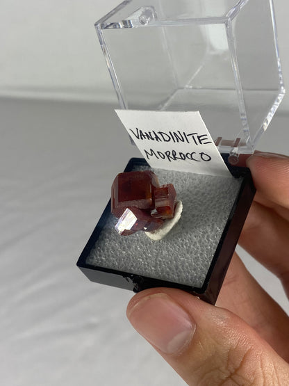 Moroccan Vanadinite Thumbnail Specimen (Pre-Done F)
