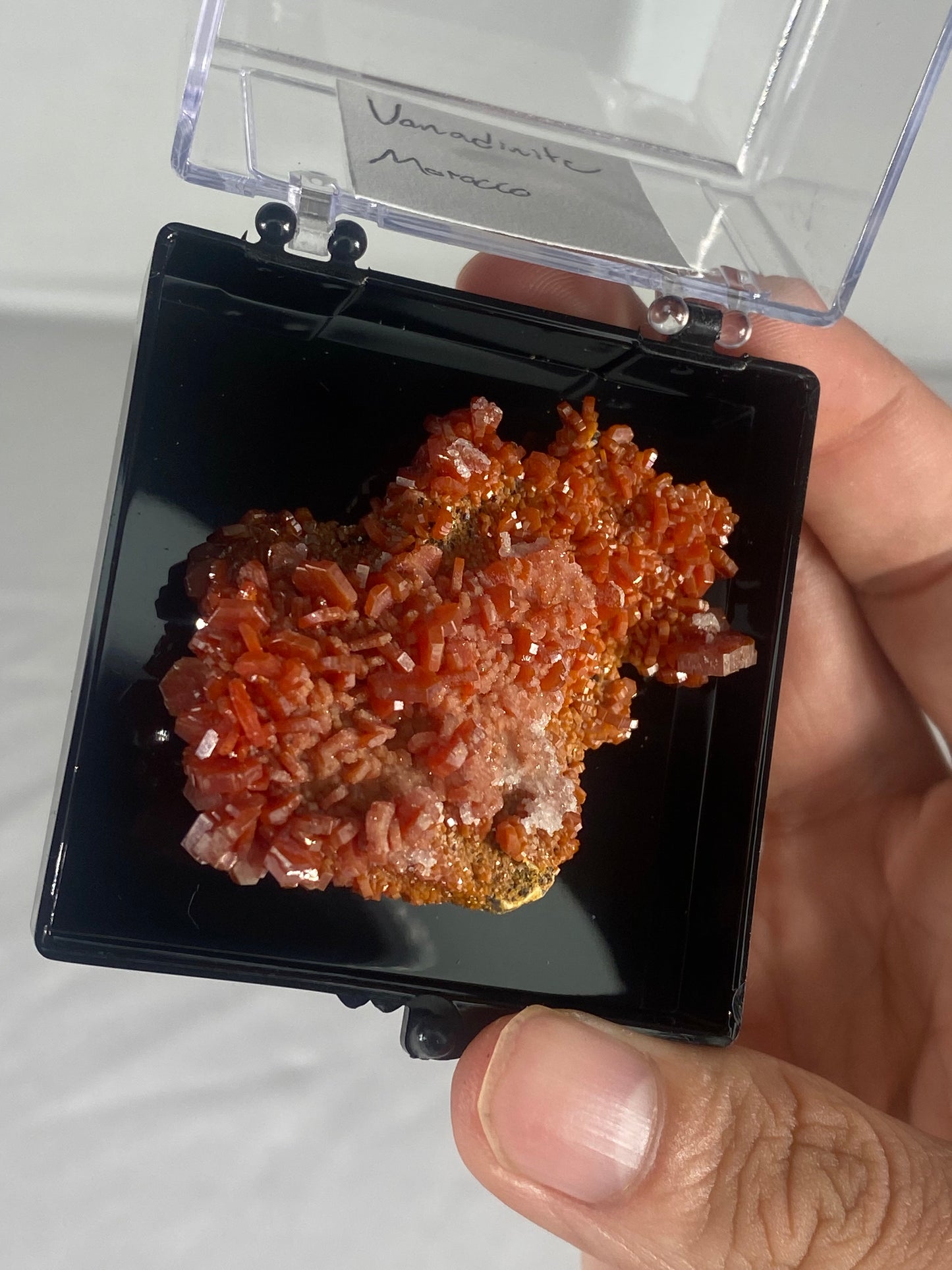 Moroccan Vanadinite Thumbnail Specimen (Medium F)