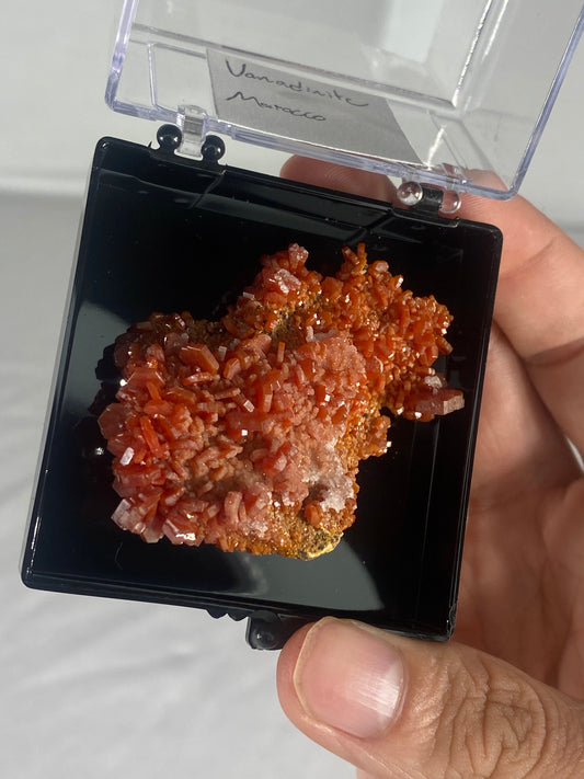 Moroccan Vanadinite Thumbnail Specimen (Medium F)