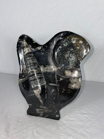 Self Standing Polished Fossilized Orthoceras & Shell Specimen (J)