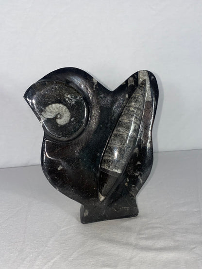 Self Standing Polished Fossilized Orthoceras & Shell Specimen (D)