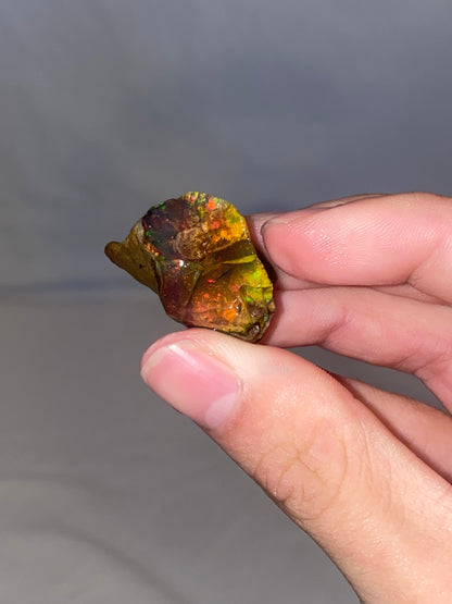 Water Opal Specimen (L)