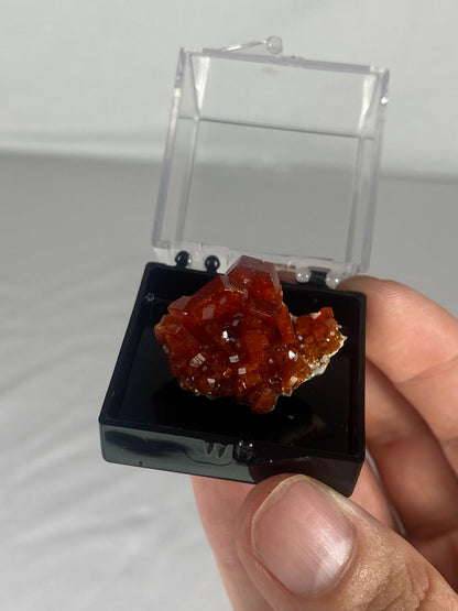 Moroccan Vanadinite Thumbnail Specimen (Small L)