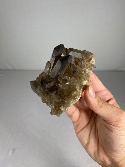 Brazilian Smokey Quartz Specimen (L)