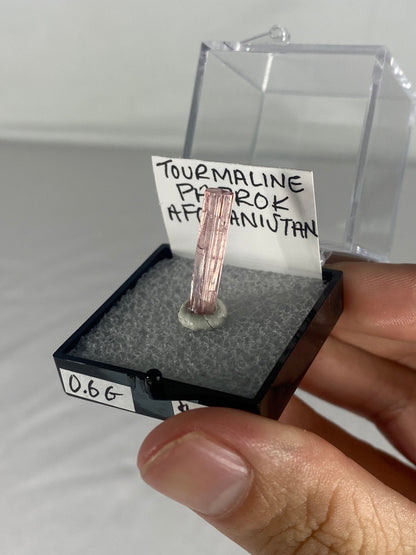 Pink Tourmaline Thumbnail Specimen From Afghanistan (Pre-Done A)