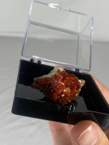 Moroccan Vanadinite Thumbnail Specimen (Medium E)