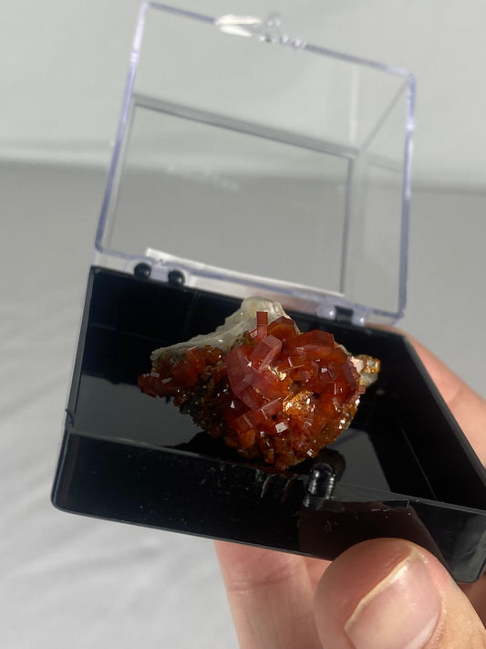 Moroccan Vanadinite Thumbnail Specimen (Medium E)