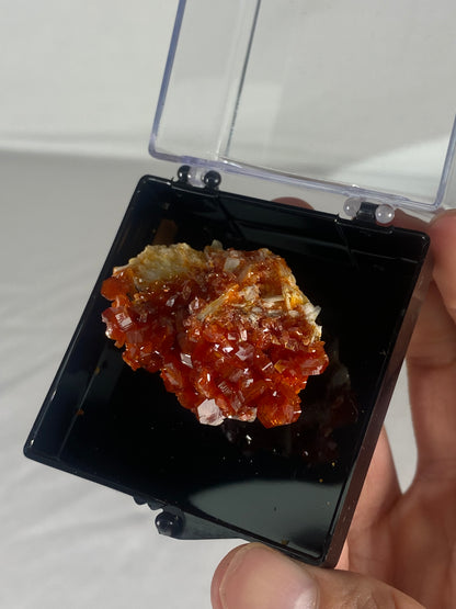 Moroccan Vanadinite Thumbnail Specimen (Medium D)