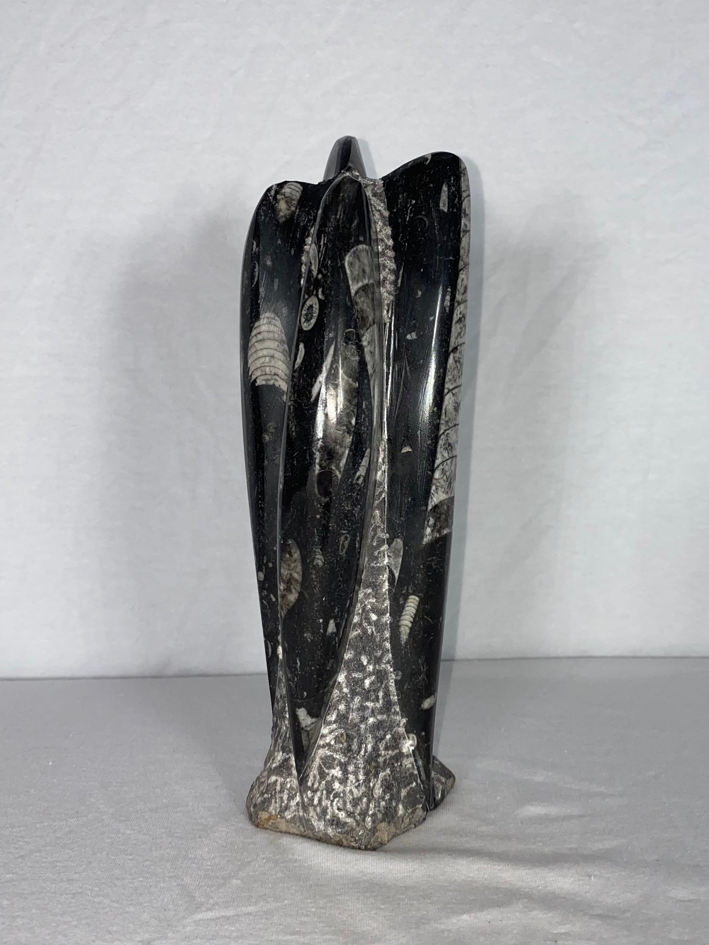Self Standing Polished Fossilized Orthoceras Specimen (Medium L)