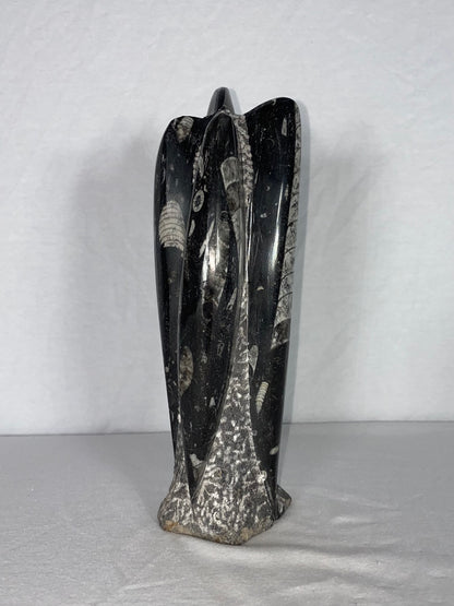 Self Standing Polished Fossilized Orthoceras Specimen (Medium L)