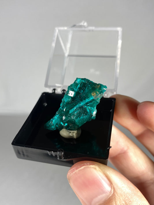 Dioptase Thumbnail Specimen (D)