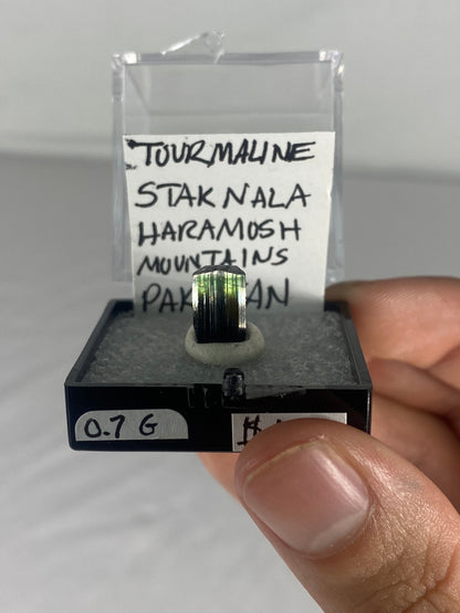 Pakistani Green Tourmaline Thumbnail Specimen (Pre-Done I)