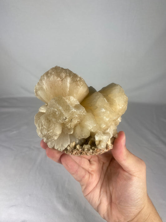 Indian Zeolite Specimen (Large F)