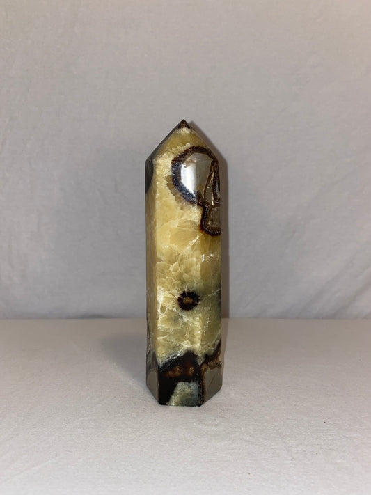 Madagascan Polished Septarian Tower (E)