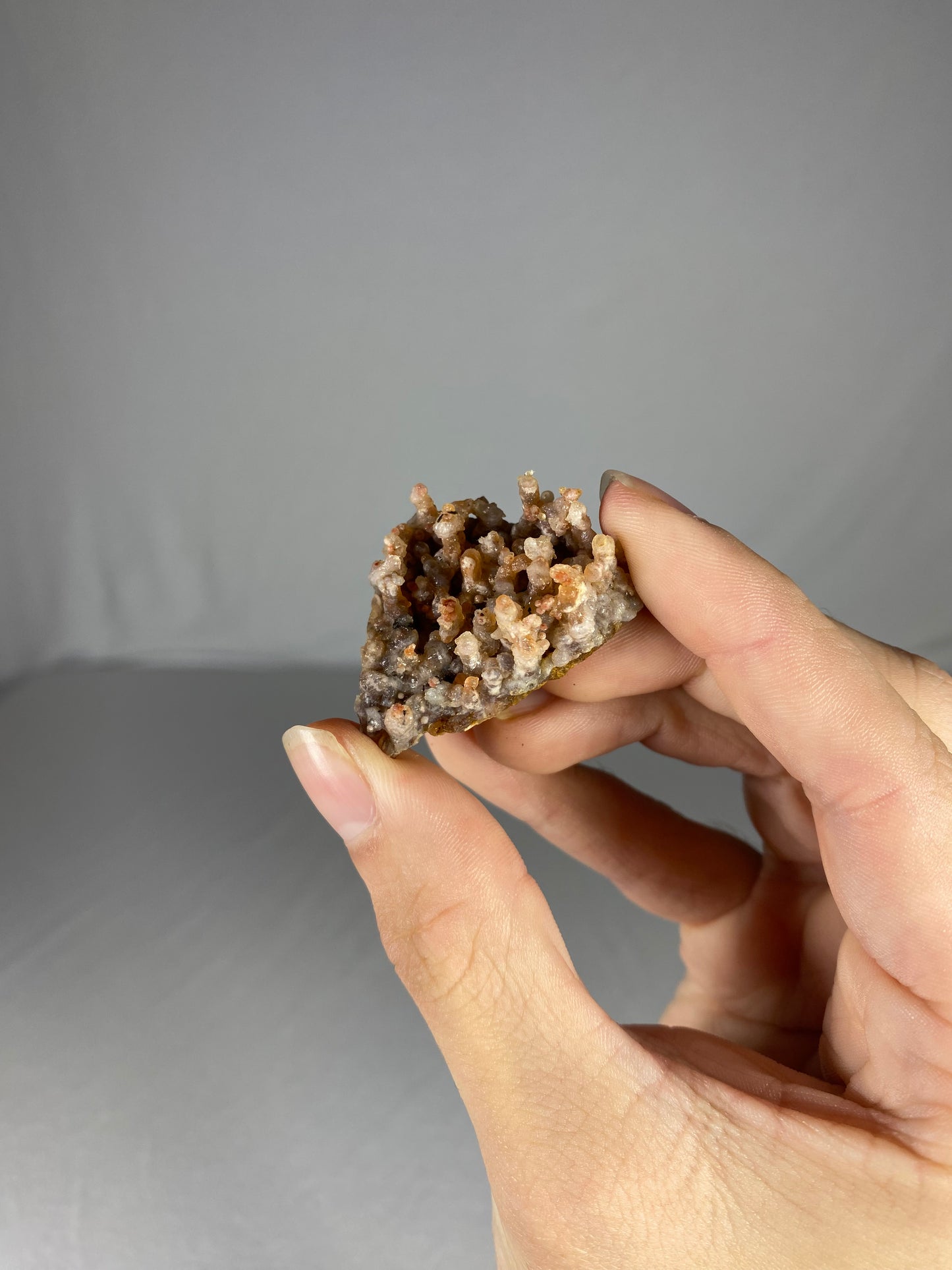 Moroccan Chalcedony Specimen (W)