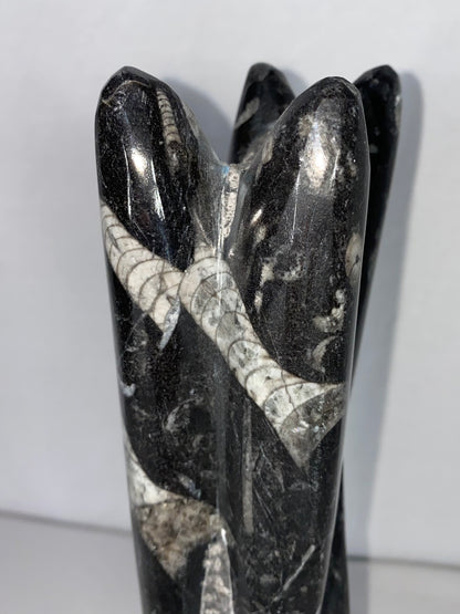 Self Standing Polished Fossilized Orthoceras Specimen (Medium M)