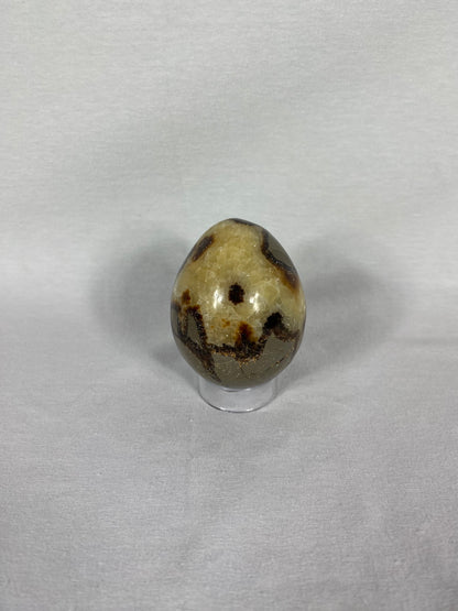 Madagascan Polished Septarian Egg (C)