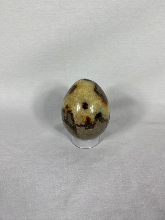 Madagascan Polished Septarian Egg (C)