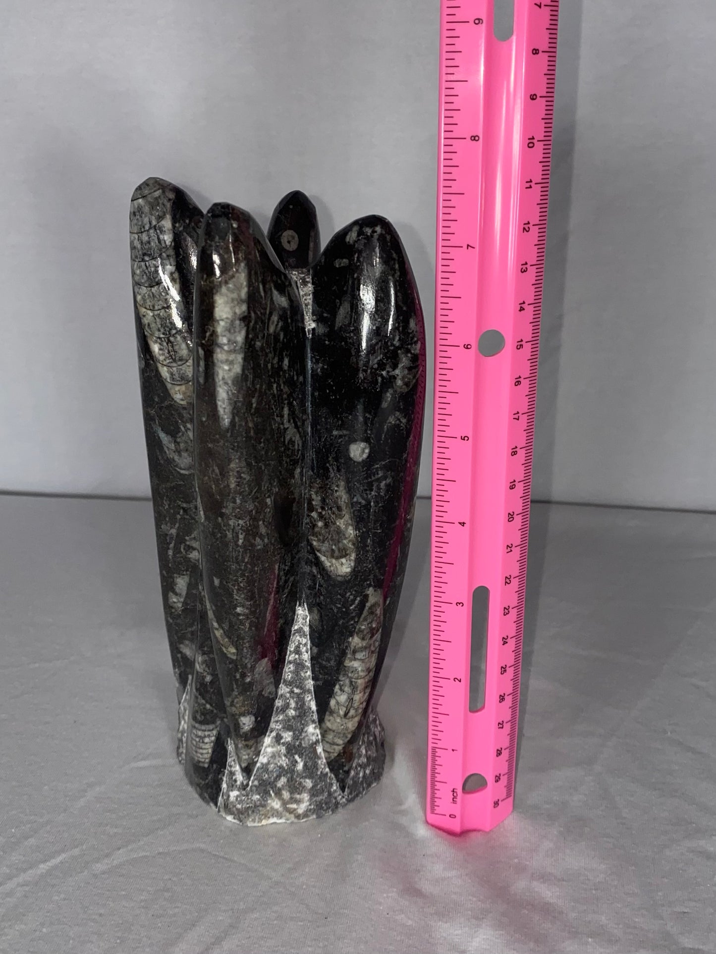 Self Standing Polished Fossilized Orthoceras Specimen (Medium A)