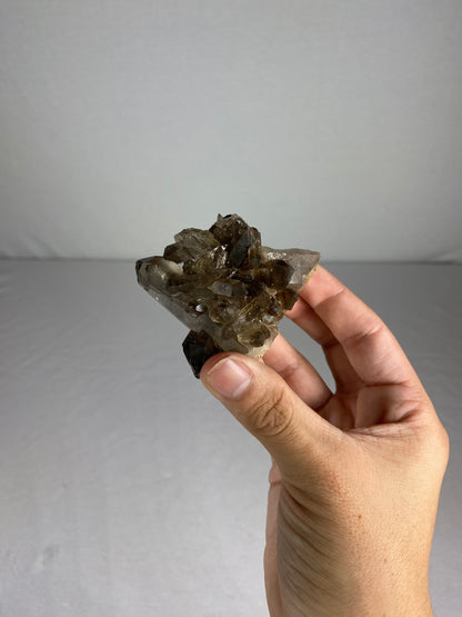Brazilian Smokey Quartz Specimen (H)
