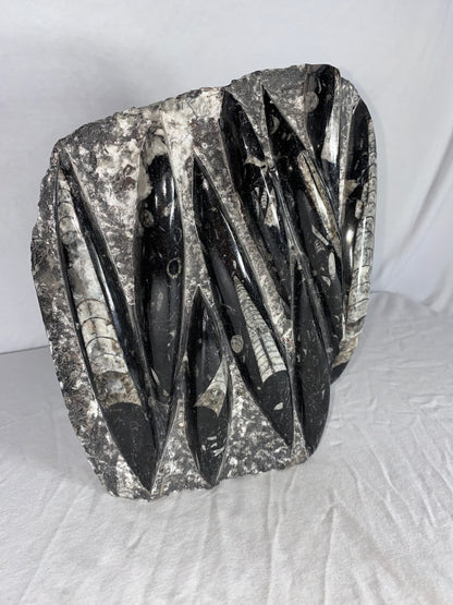 Self Standing Polished Fossilized Orthoceras Specimen (Large E)