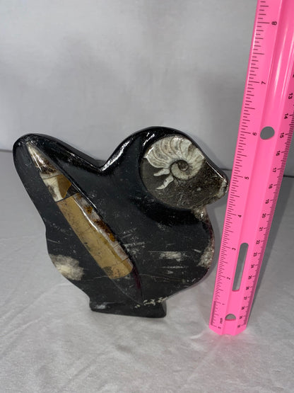 Self Standing Polished Fossilized Orthoceras & Shell Specimen (P)