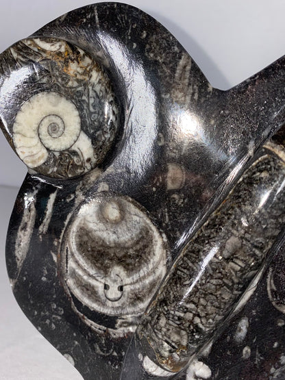 Self Standing Polished Fossilized Orthoceras & Shell Specimen (I)