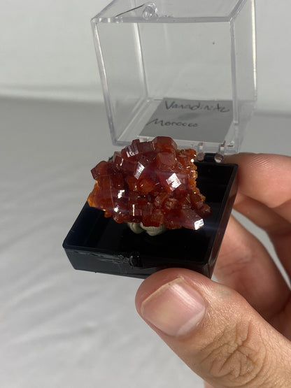 Moroccan Vanadinite Thumbnail Specimen (Small J)