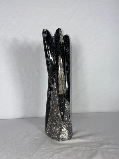 Self Standing Polished Fossilized Orthoceras Specimen (Medium M)