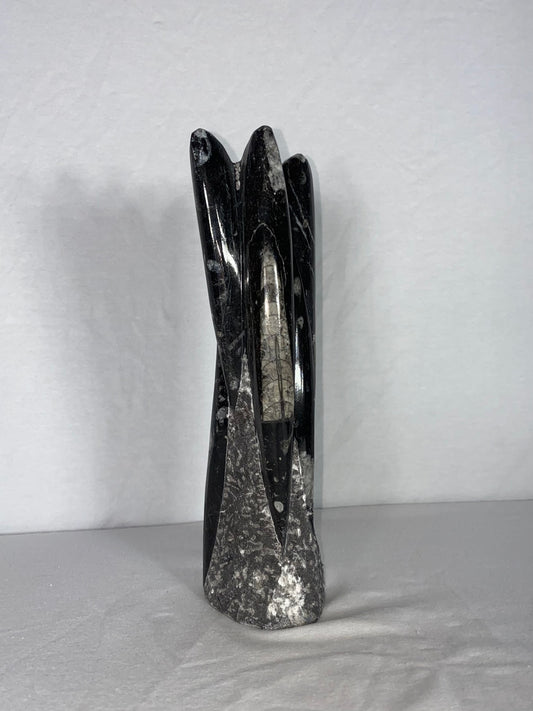 Self Standing Polished Fossilized Orthoceras Specimen (Medium M)