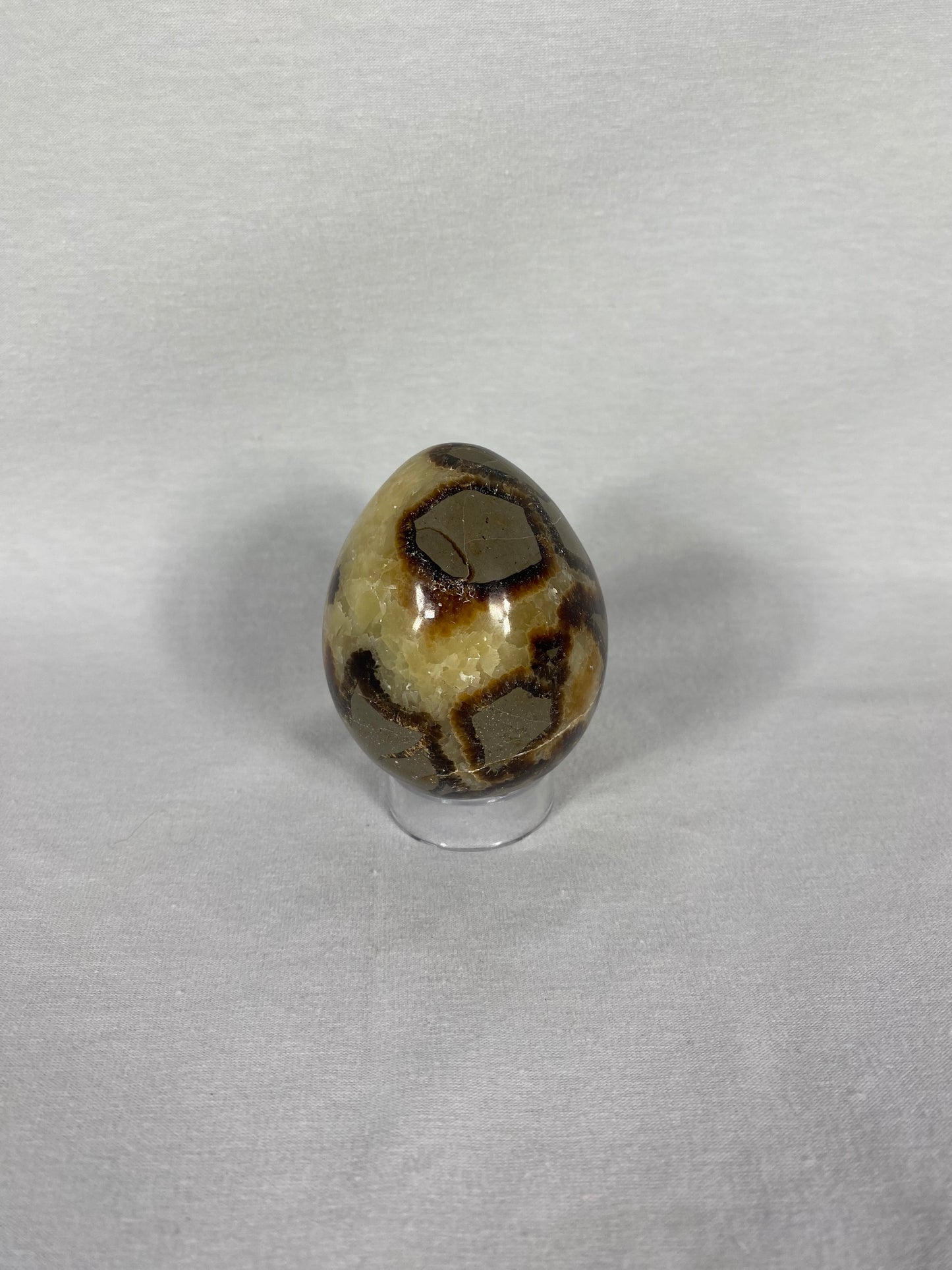 Madagascan Polished Septarian Egg (C)