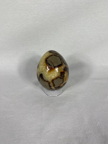 Madagascan Polished Septarian Egg (C)