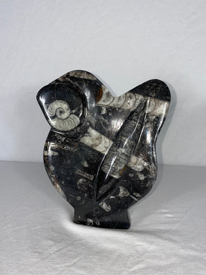 Self Standing Polished Fossilized Orthoceras & Shell Specimen (G)