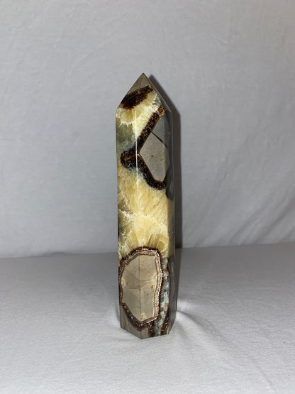 Madagascan Polished Septarian Tower (F)