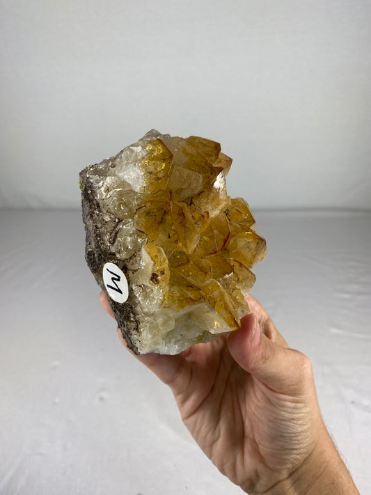 Brazilian Citrine Specimen (M)