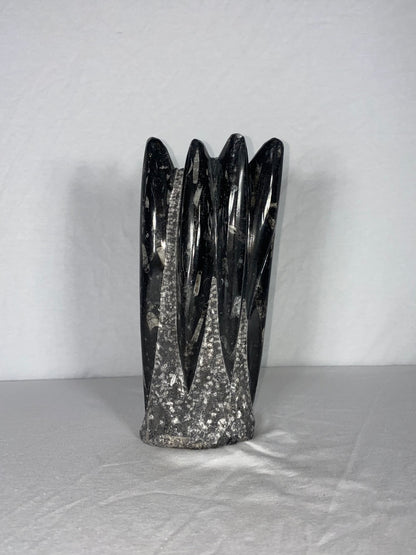 Self Standing Polished Fossilized Orthoceras Specimen (Medium G)