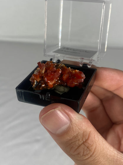 Moroccan Vanadinite Thumbnail Specimen (Small E)