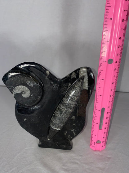 Self Standing Polished Fossilized Orthoceras & Shell Specimen (D)