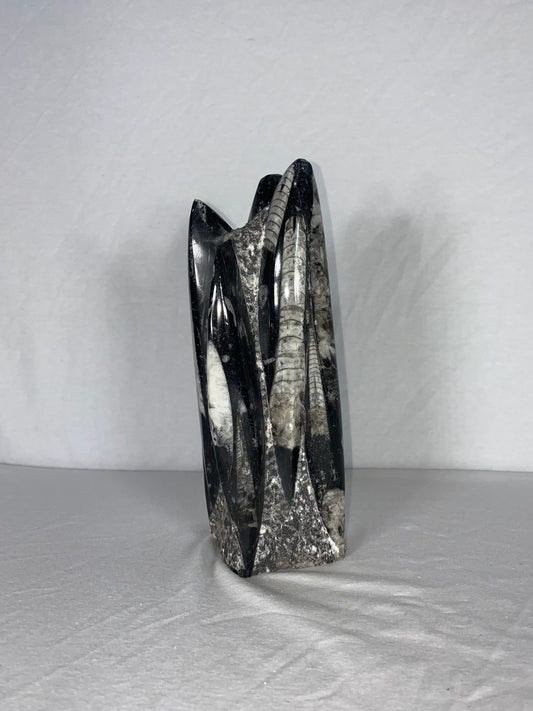 Self Standing Polished Fossilized Orthoceras Specimen (Medium E)