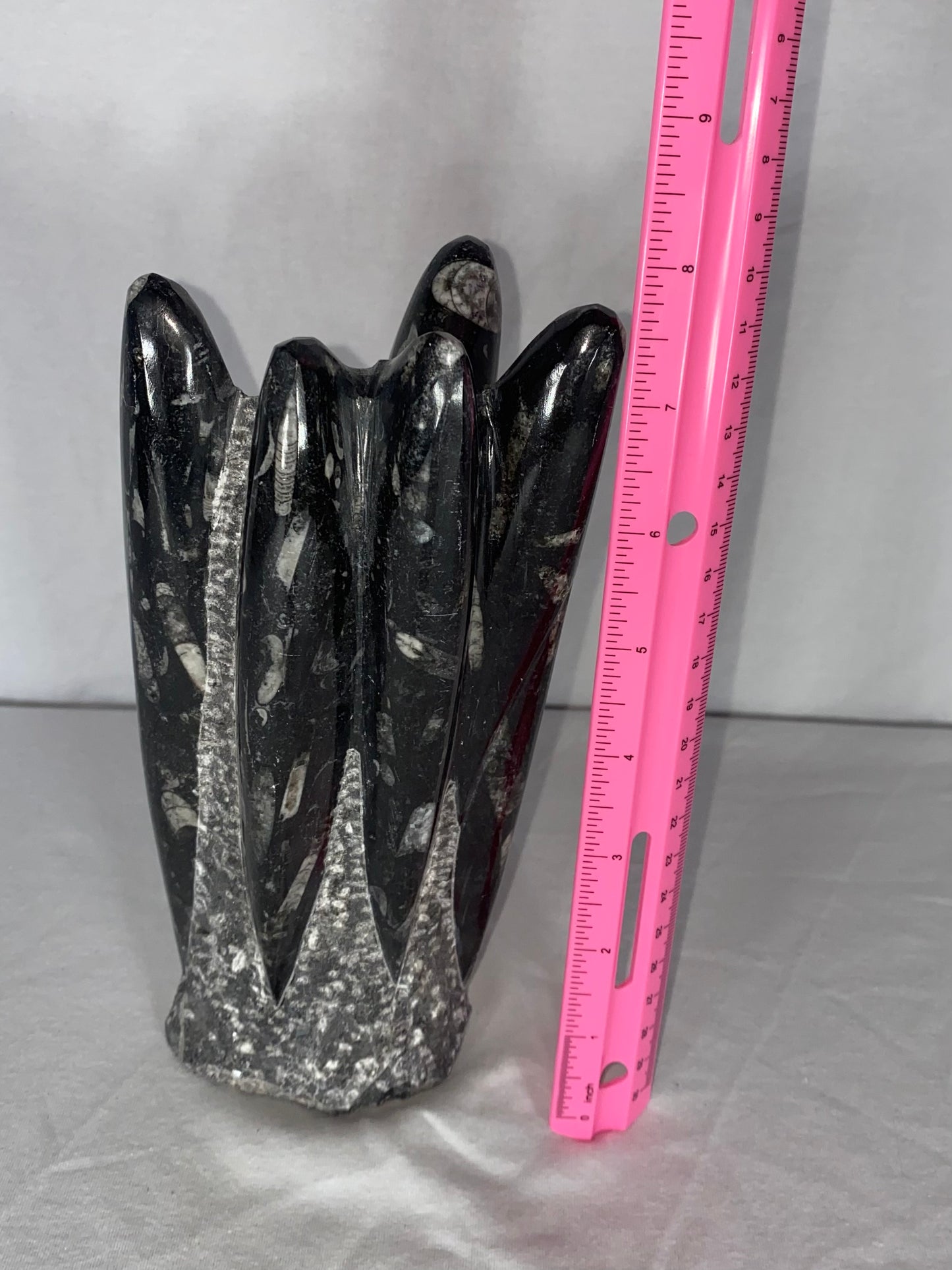 Self Standing Polished Fossilized Orthoceras Specimen (Medium G)