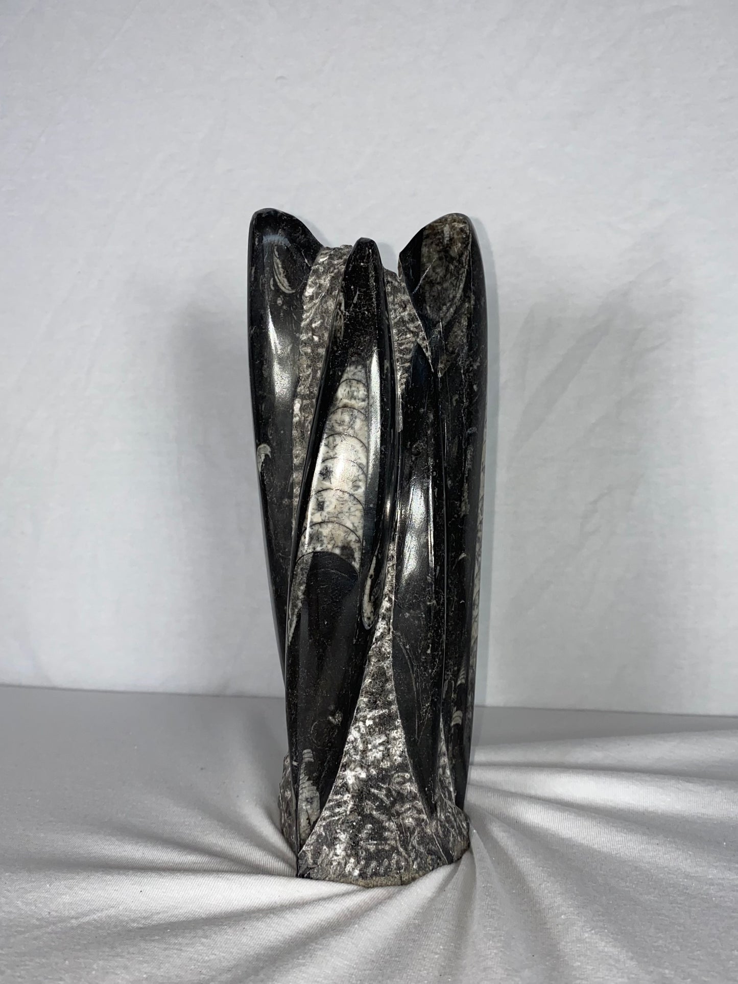 Self Standing Polished Fossilized Orthoceras Specimen (Medium J)