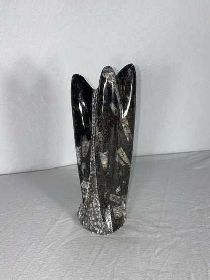 Self Standing Polished Fossilized Orthoceras Specimen (Medium A)