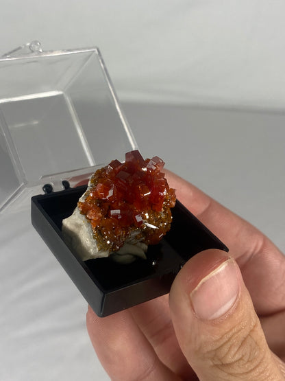 Moroccan Vanadinite Thumbnail Specimen (Small D)