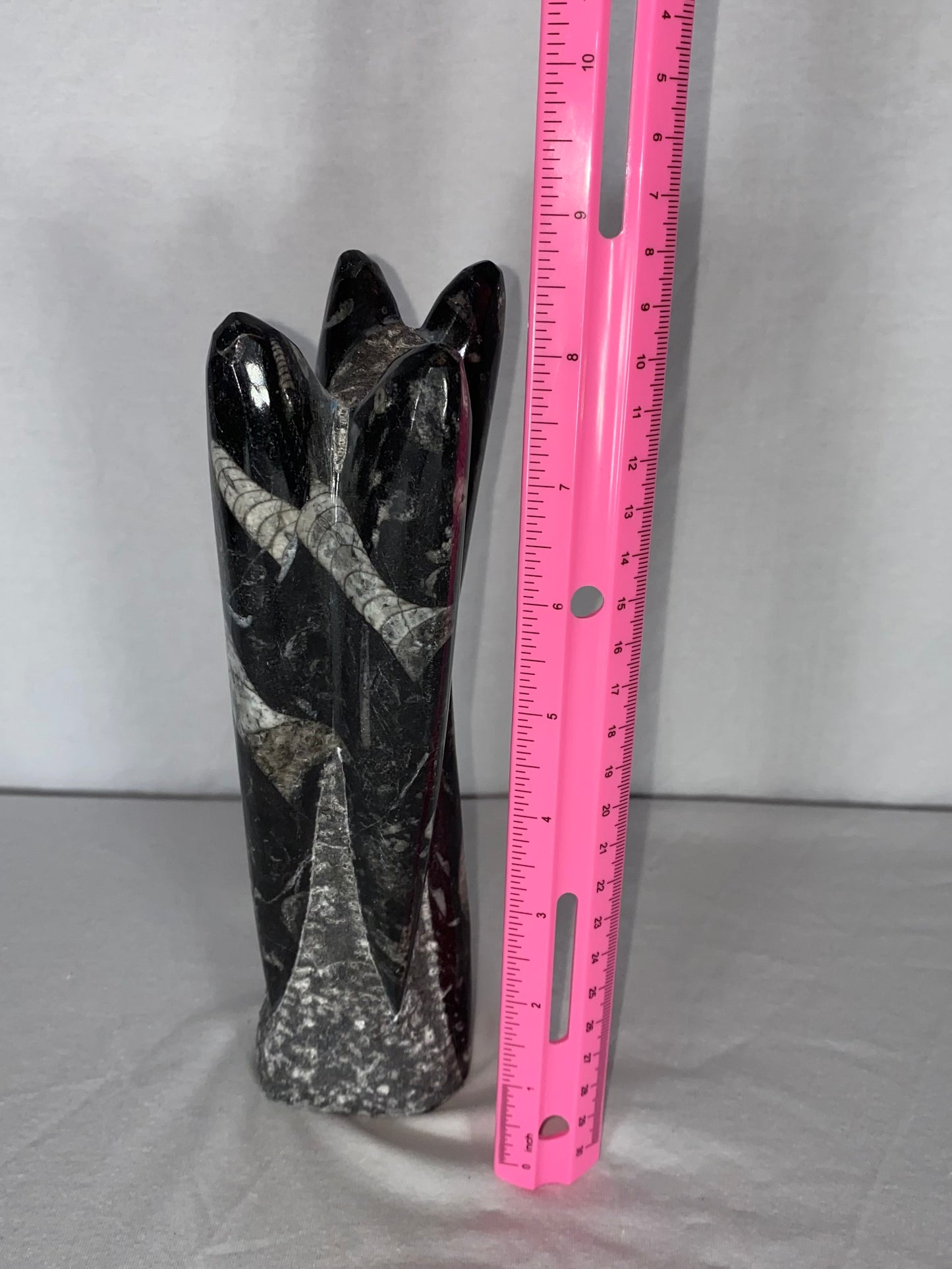Self Standing Polished Fossilized Orthoceras Specimen (Medium M)