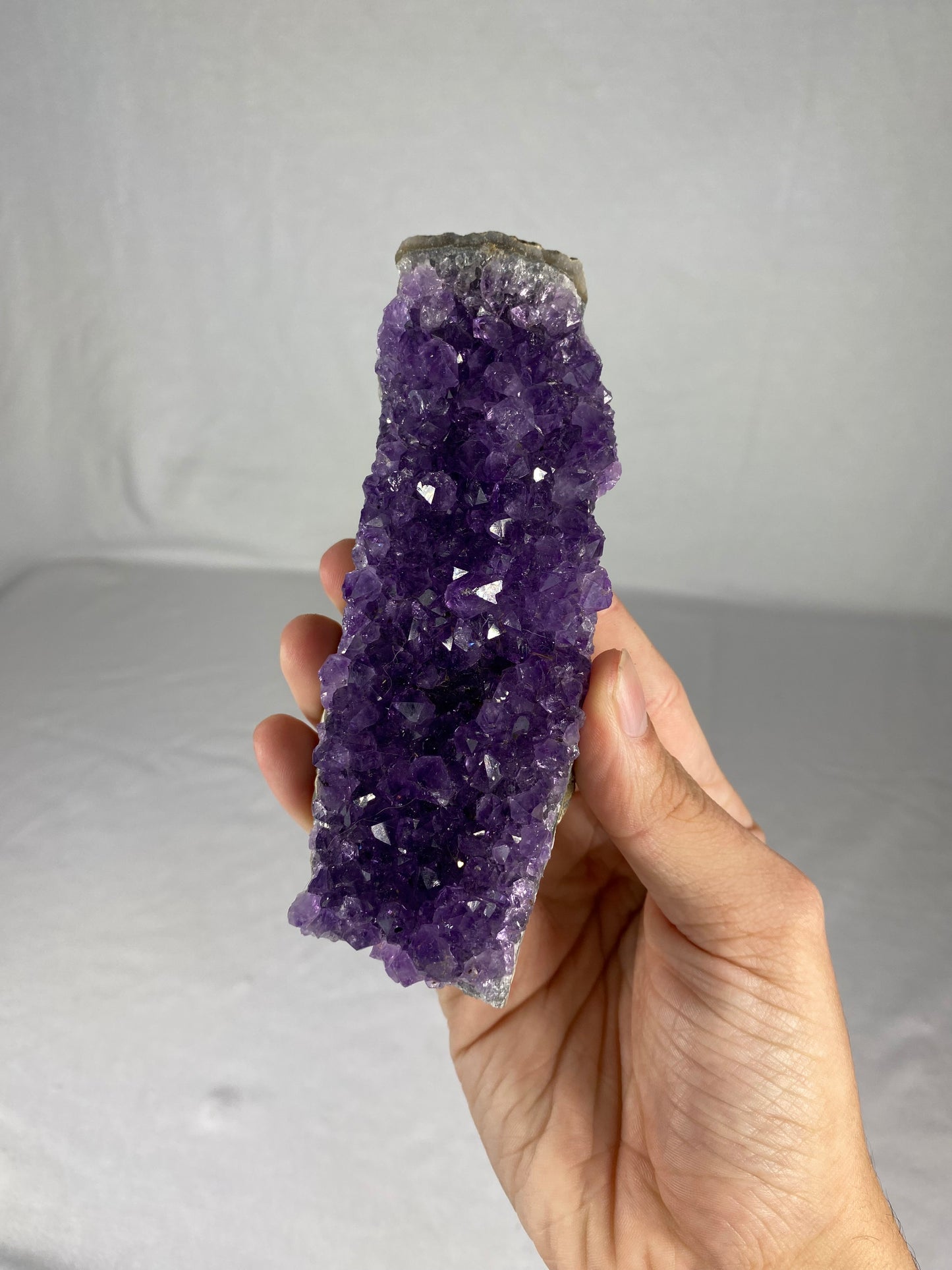 Brazilian Amethyst Specimen (W)