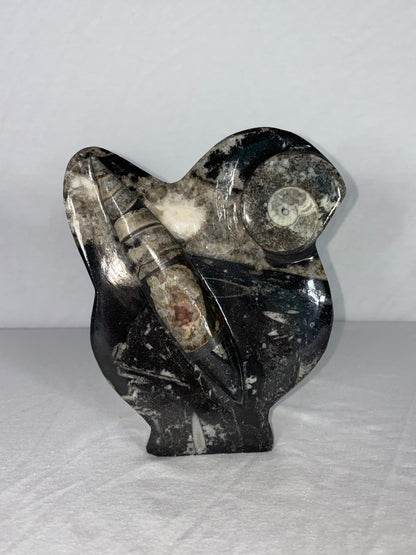 Self Standing Polished Fossilized Orthoceras & Shell Specimen (N)